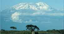 Kilimanjaro