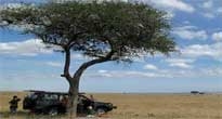 Northern Tanzania