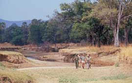 South Luangwa National Park