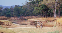 South Luangwa National Park