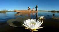 Okavango Delta