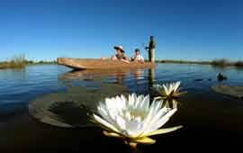 Okavango Delta