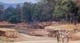 South Luangwa National Park