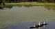 Okavango Delta