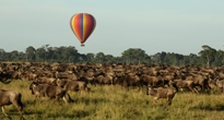 Tanzania Family Safaris