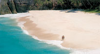 Seychelles Honeymoons