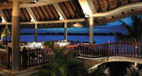 Royal Palm