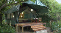 Kichwa Tembo