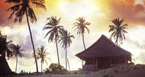 Kipungani
