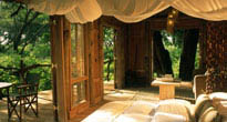 Lake Manyara Tree Lodge