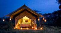 Serengeti Under Canvas