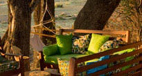 Crocodile Camp