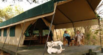 Foxes Katavi Wildlife camp