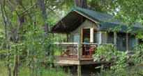 Camp Moremi