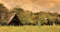 The Hide