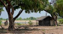Davisons Camp