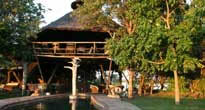 Musango