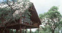 Ngong House