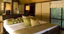 Ngala Tented Lodge