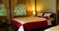 Gorilla Forest Lodge