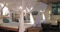 Virunga lodge