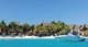 Royal Palm