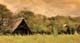 The Hide