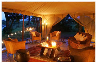 4 - Africa Odyssey : Newsletter : Good Safari Guide Awards