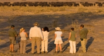Walking in Botswana