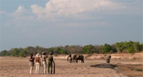 Walking in Zambia 