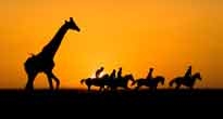 Horseriding 