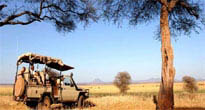 Tarangire National Park 
