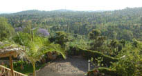 Arusha town