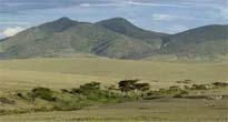 Ngorongoro Highlands