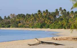 Mafia Island
