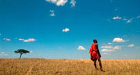 Greater Mara