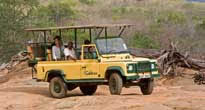 Tsavo 