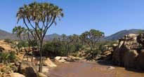 Samburu 