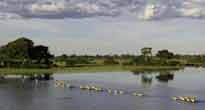 Okavango Delta - Wet Camps
