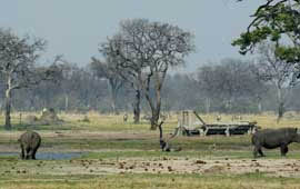 Hwange