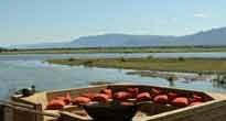 Mana Pools
