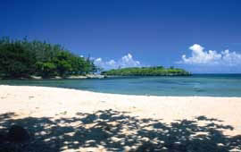 Southern Beaches