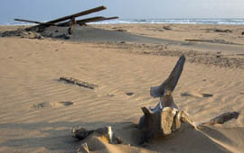 Skeleton Coast