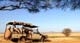 Tarangire National Park 