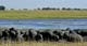 Kafue 