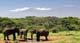 Chyulu Hills