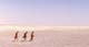 Makgadikgadi Pans
