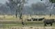Hwange