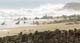 Skeleton Coast
