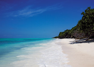 Zanzibar Beaches